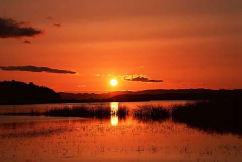 12.我希望我不再保持沉默，我希望我每天都快乐。