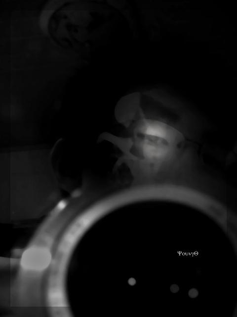 10.我安静地移动身体，因为担心我的薄衣服和寂寞的脸会打扰她如此优雅的宁静。