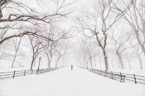 9.它逐渐变得越来越深，现在变得越来越安静。我是如此清醒，以至于我可以清楚地听到室友的呼吸，昆虫的尖叫声和阵阵滴答作响。