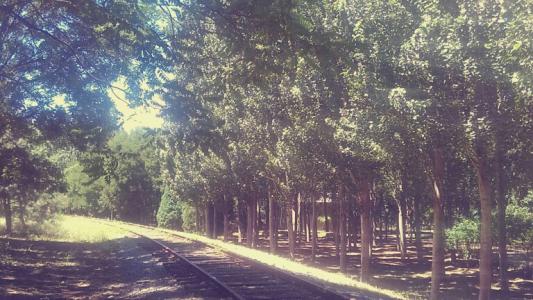 关于仁慈的座右铭