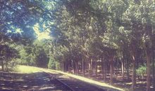 关于善良的座右铭