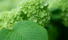 正能量亲情的句子经典语句