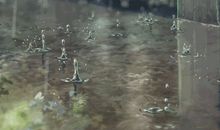 形容细雨的句子