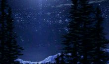 亲情类句子一句话