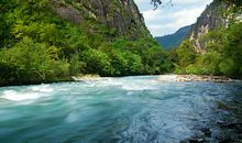 形容江水的句子