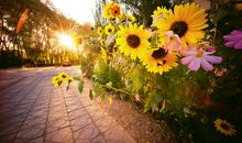 描写环境的句子