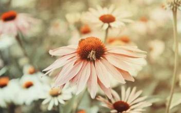 11.当他笑着时，脸上洋溢着欢乐和兴奋的表情，就像太阳从云层中辐射出来一样。