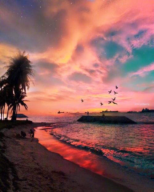 11.父亲和兄弟不允许任何人，并且害怕of的叔叔。 -于力，《宫廷怨言》