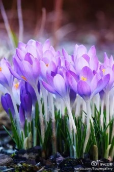 12.拥有家人的感情，让我们永远快乐，永远快乐地追逐生活中的红色阳光！