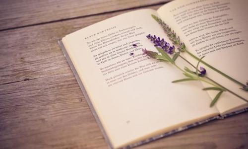 10.如果有一天，您开始后悔放弃，请记住，我从没想过要这样离开并教您珍惜。