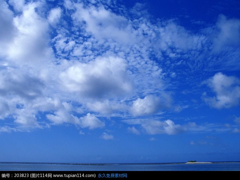 10.送你一只小鸟，希望你的翅膀高高张开。为您捕捉一缕阳光，并祝您事业蒸蒸日上；发短信给您，希望您每天都充满荣耀！周末愉快。