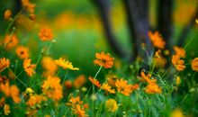 亲情最有哲理的句子说说心情