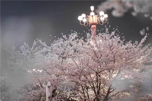 11.我无法分辨出有些痛苦，我只能忍受直到慢慢忘记。