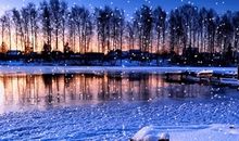 有关亲情抒情句子