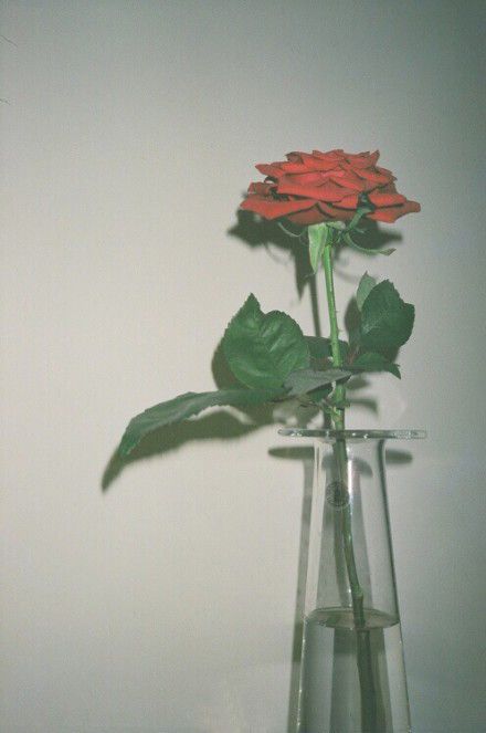 9.夜光灯从西窗照不清楚，并在悲伤的音调音乐循环。