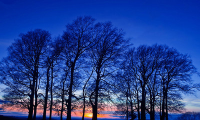 12.想家，想家，无论我在海角天涯何处；想家，想家，不禁流泪。不管我们走多远，我们都无法摆脱您的内心！不管外在多么复杂，想到您都会不再害怕！乡愁，乡愁，家是我们永恒的根！