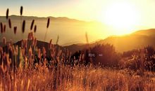 描写阳光的句子20句