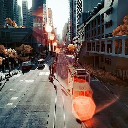 10.专业人士可以照亮人们的生活，使前方的道路充满鲜花；