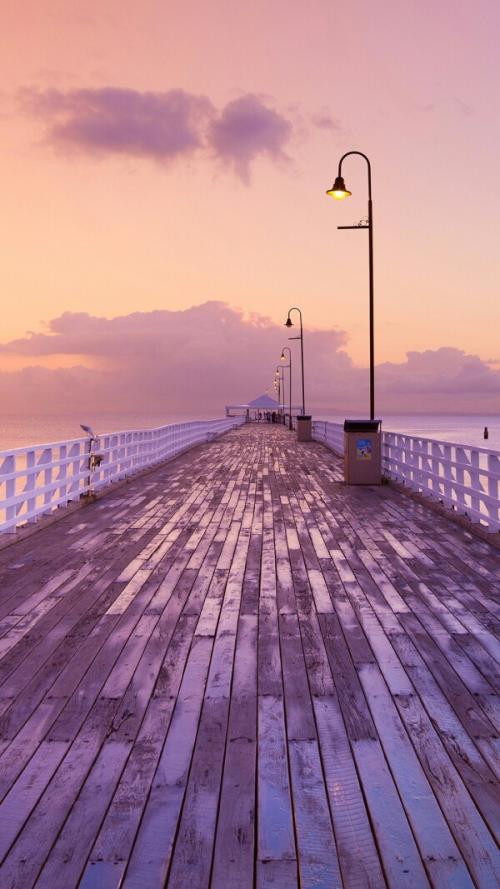 11.这是一个坚定的信念，一种持久的本能，即使没有钱，家庭亲情仍然存在。