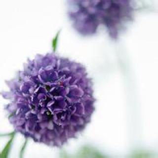 11.小时候，我以为给妈妈好成绩是一种家庭关系