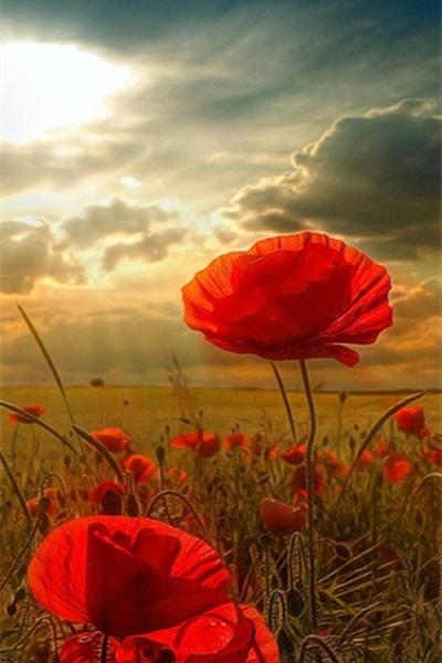 11.即使没有采取任何行动,也要心怀感激,并永远记住,您拥有世界上最宝贵的财富!