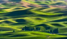 感恩老师的作文结尾句子