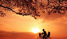 富有内涵亲情的句子