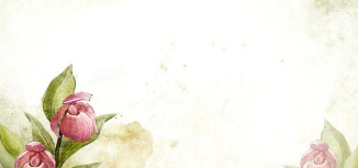 10.一场悲剧刚刚在完美的海岸上演。所有的血泪都在枯萎的荆棘上生出了芽。它将经历七次转世的雷暴，然后在潮湿的空气中绽放。