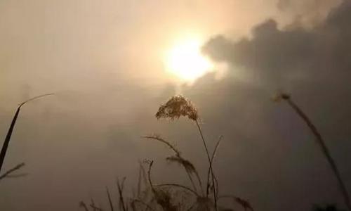 10.许多人热爱生活,讨厌生活,怀念生活,但他们只能感到忧郁和遗憾。转过一段距离,一切都变成了一个转折点,两个如此熟悉的人从那以后再也见不到彼此,就像陌生人一样。