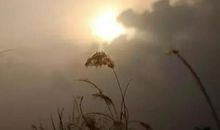 失去了以后后悔的句子