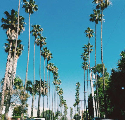 11.亲情是我妈妈一针一指地向我指出的一件毛衣：