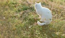 形容不开心睡觉的句子说说心情