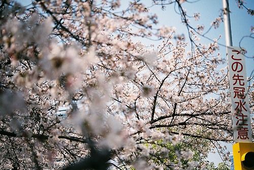 10.越来越恶心。所谓家庭对家庭的感情也越来越弱。从无知开始，我就渴望一切。自始至终，爱与专注始终没有落在我身上。上。