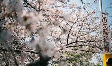 关于亲情伤人心的句子大全