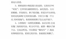 描写交通的句子