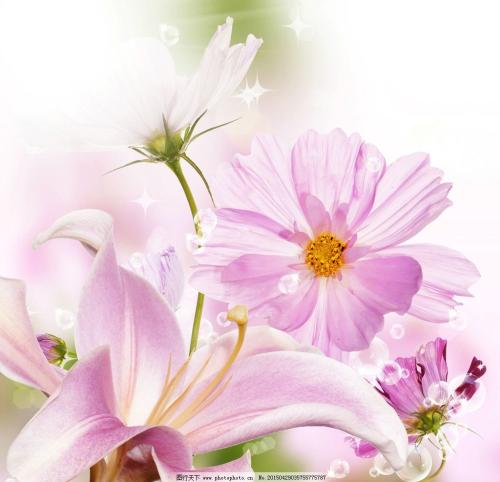 12.如果您是种子，那么家庭关爱就是让您离开黑暗而走向光明的土地。