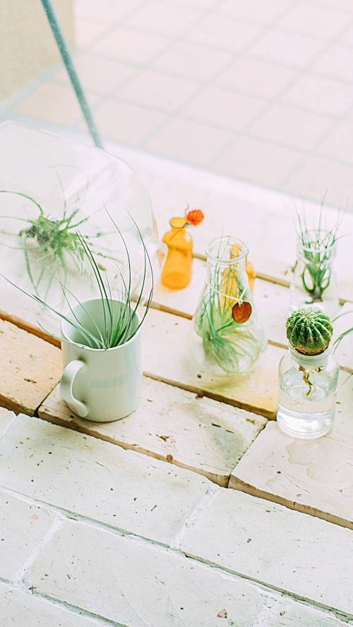 11.在我的生活中，我经历了很多次悲伤，并且放弃了很多人，朋友，暗恋。我只想两次用死亡来救济，一次是在家庭关系破裂时，一次是在她不爱我时。