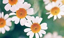 细节描写句子关于亲情