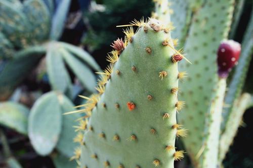 12.诚实和美德...他令人钦佩，他的家人令人羡慕！如今，在家庭感情越来越弱的时代，他所做的一切令人感动！朋友也有同样的感觉，很高兴拥有这样一个家庭！