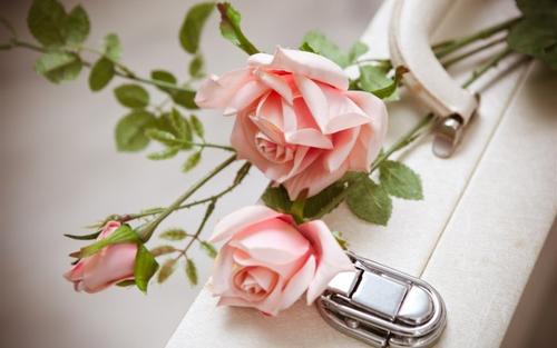 12.亲情是一条河，每个人都是它的支流，让它永不枯竭和前进；