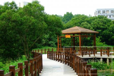 清华大学教师语录2