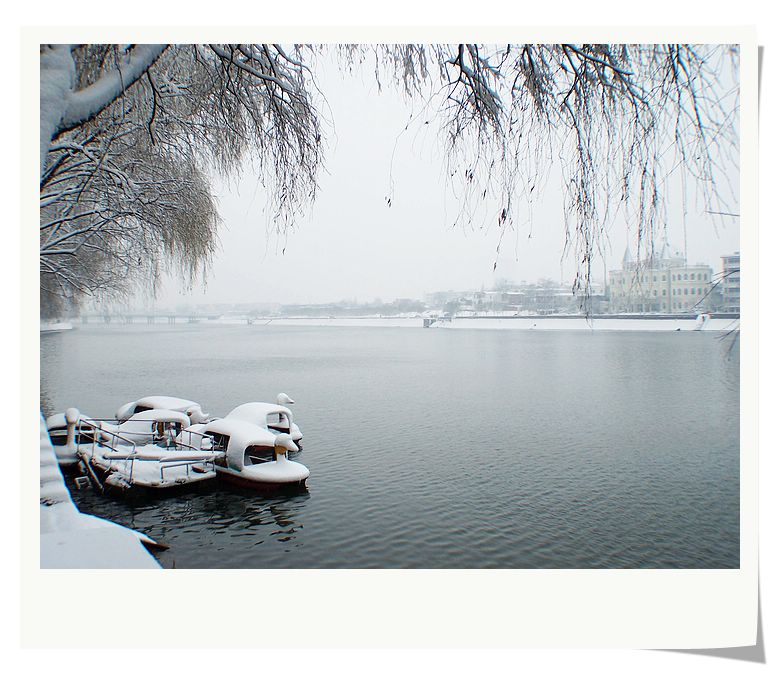 20个句子描述相思