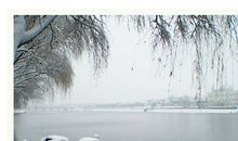 描写相思的句子20句