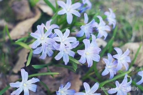 10.当我难过时，家庭之爱使我感到安慰。当我犹豫时，家庭之爱鼓励着我。当我快乐时，家庭之爱给了我祝福。