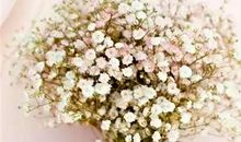 亲情句子用历历在目