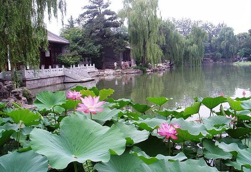 清华大学教师语录