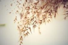 10.有一种痛苦，你不明白，我可以面带微笑，冷漠地打包。您不了解这种痛苦，因为我们死胡同，您沉迷于自己的世界，而我却依依不舍。