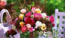 有关亲情的文艺小句子