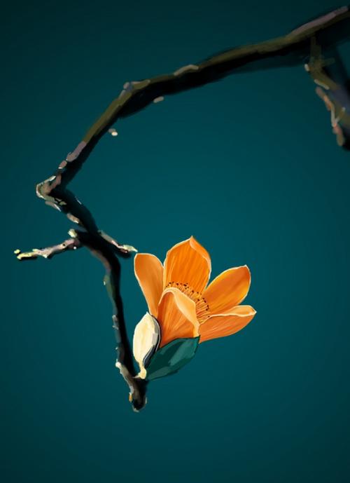 12.有时候，当我看一些电影时，就像我内心的感觉一样，我会哭泣。