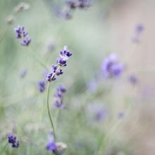 11.我们带着损失而来，充满希望。